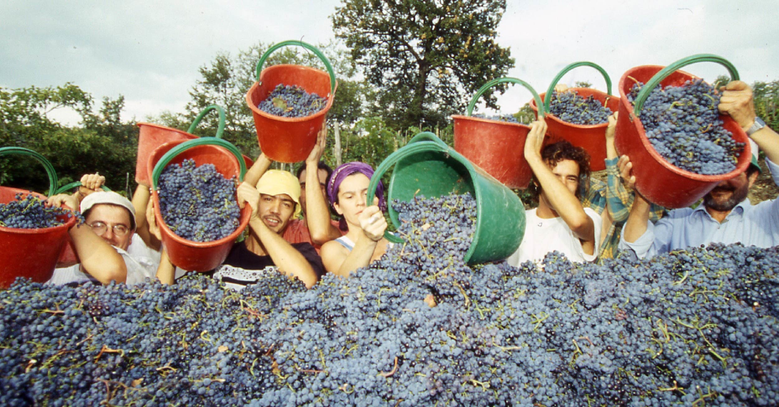 Super Tuscan, 超級托斯卡尼,  Castellare di Castellina, Sangioveto, Chianti Classico