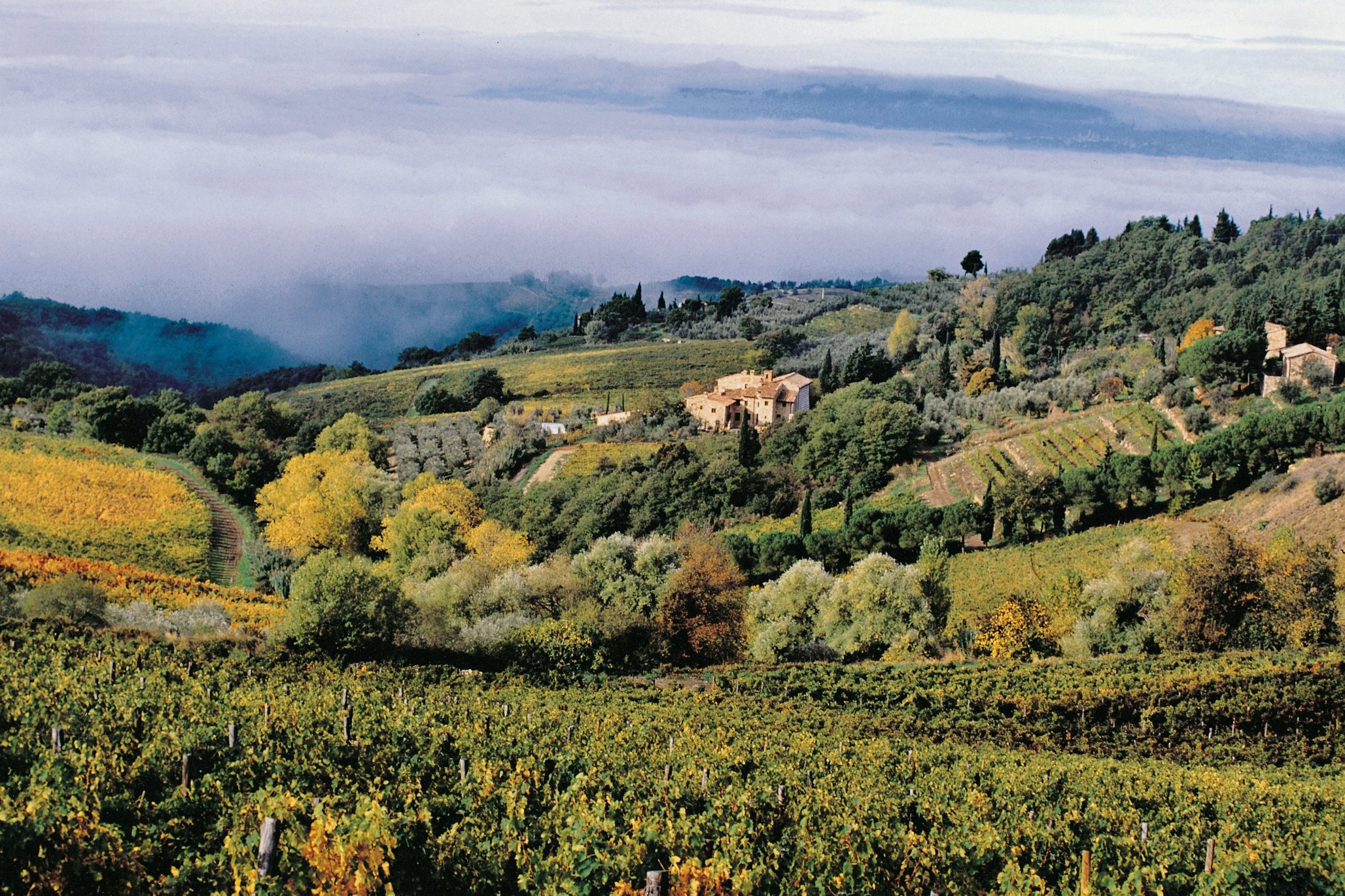 Super Tuscan, 超級托斯卡尼,  Castellare di Castellina, Sangioveto, Chianti Classico