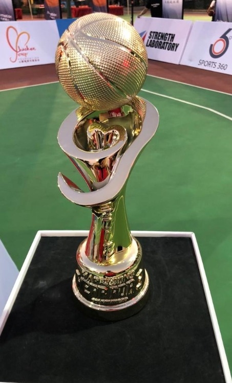 HKaward Sport Champion 3D Trophy Customize Trophy