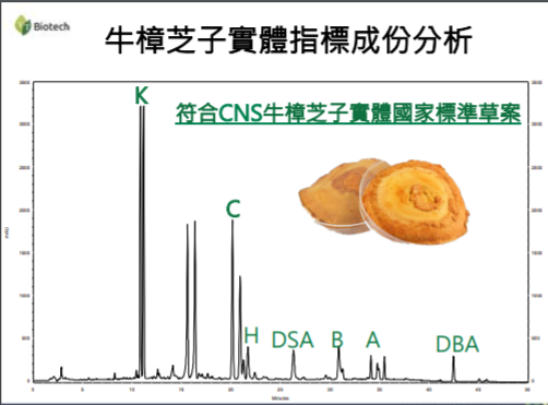 專利技術牛樟芝子實體,含有豐富三萜類與多醣體!