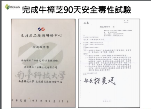 黃金牛樟芝特殊專利無雜菌培養,通過衛服部備查與90天毒性試驗!