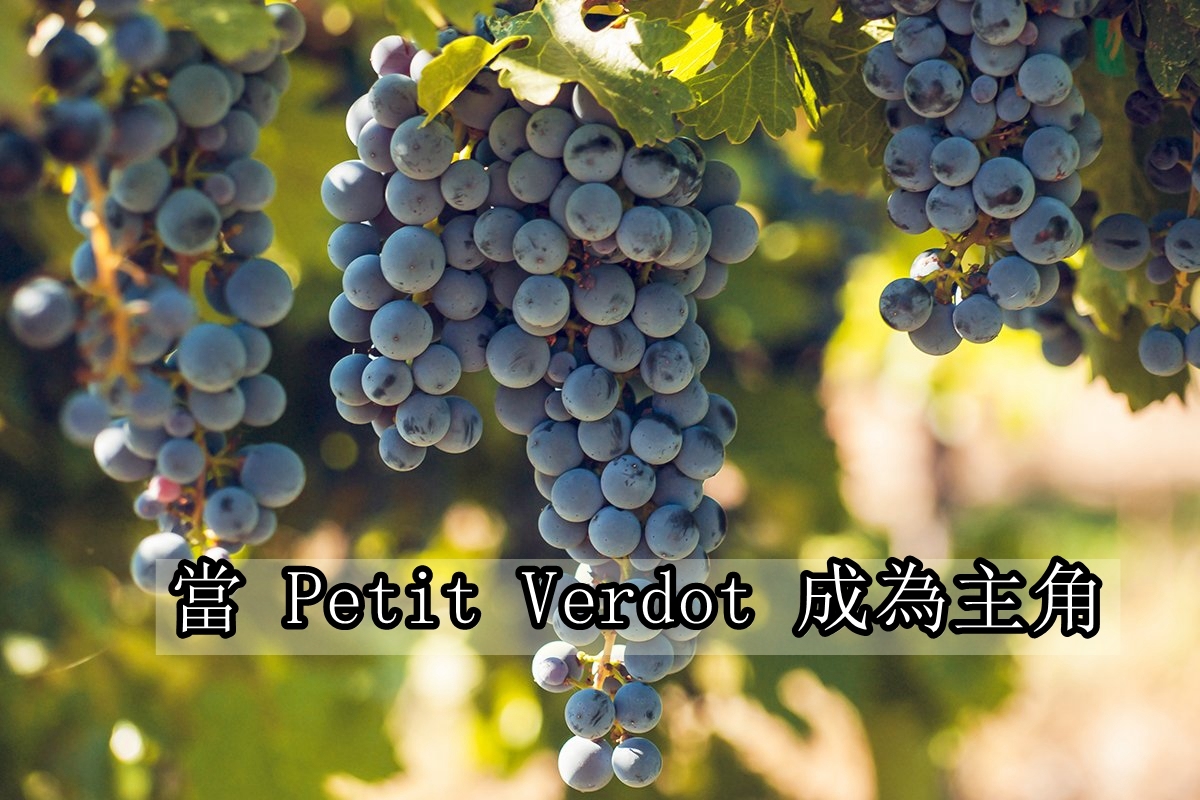 Petit Verdot