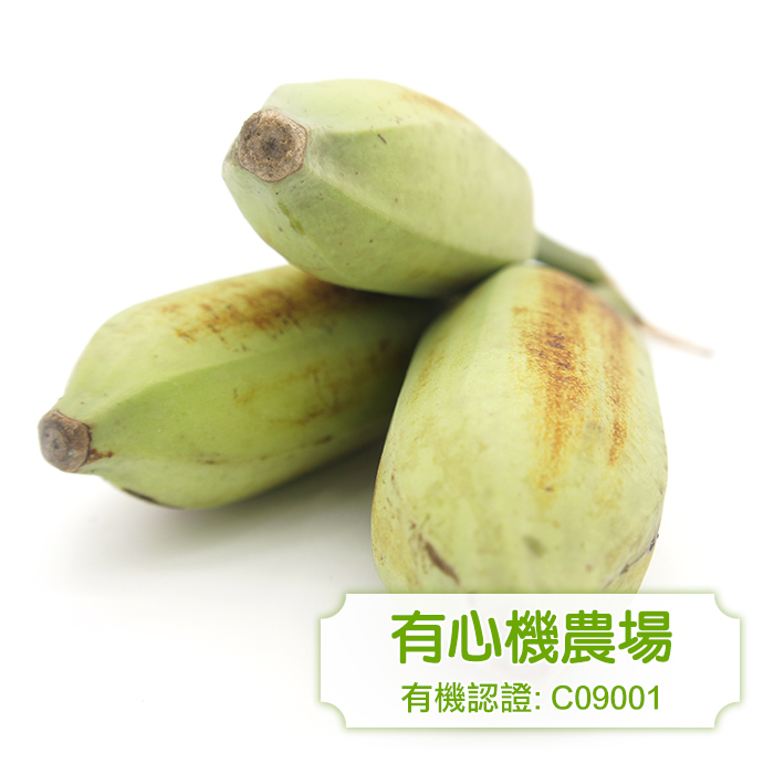 [Zen Farm] Organic Banana 1lb (453g)