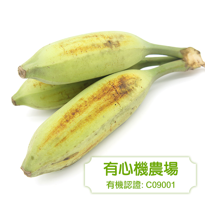 [Zen Farm] Organic Banana 1lb (453g)