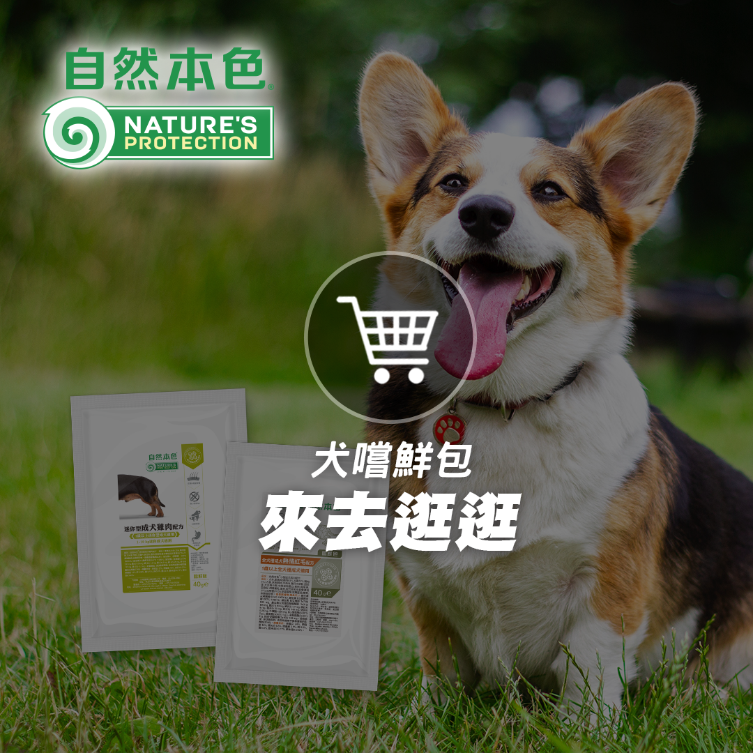 自然本色貓嚐鮮包8件$200