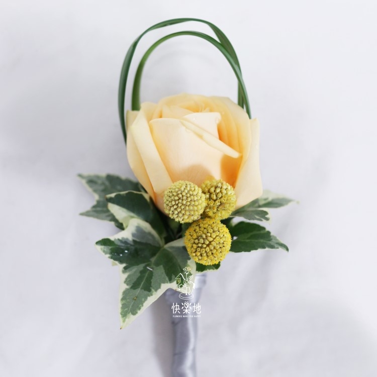 香檳✵玫瑰花胸花  AF200983