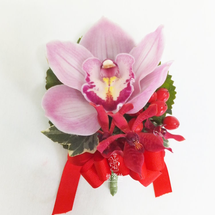 炫目✵東亞蘭胸花  AF200984