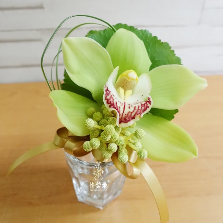 鮮亮✵東亞蘭胸花  AF200986