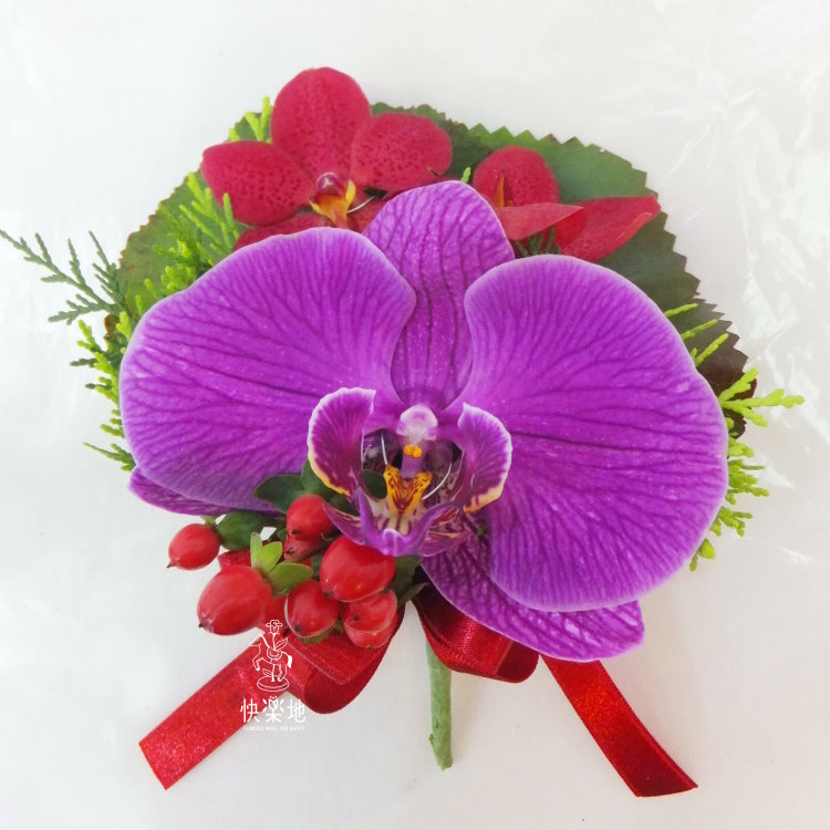 雍容✵蝴蝶蘭胸花  AF200987