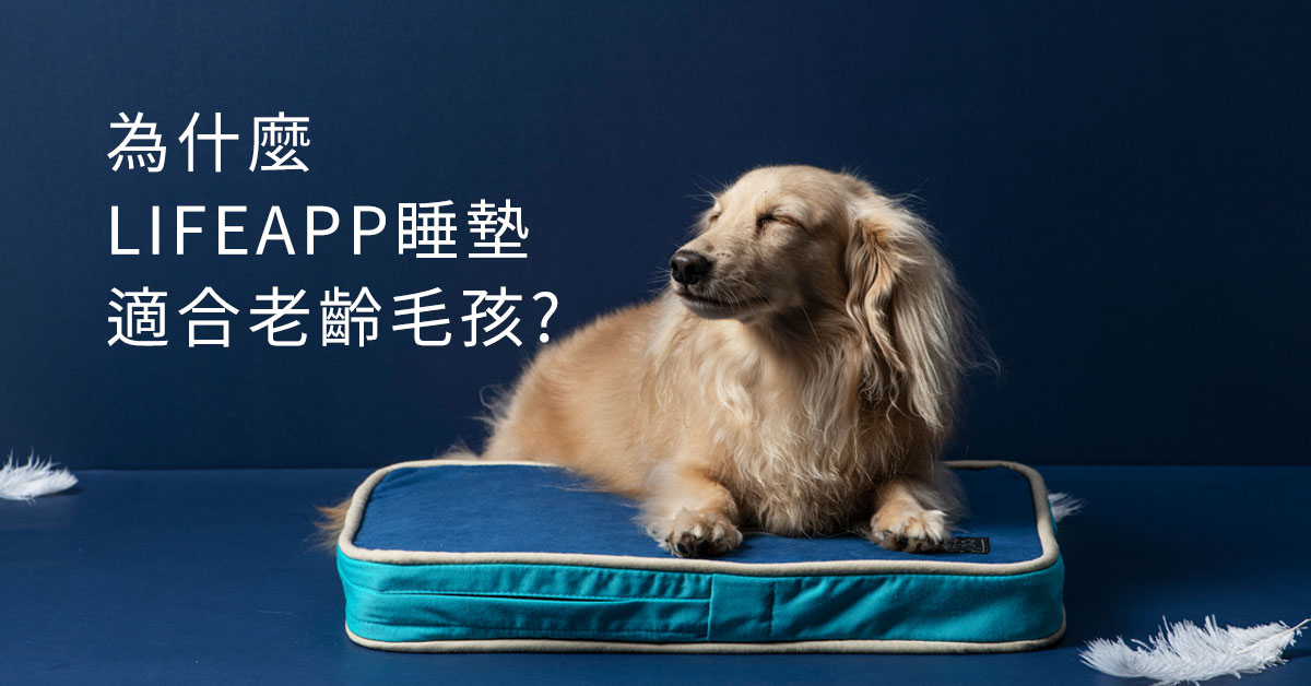 LIFEAPP睡墊適合老齡毛孩