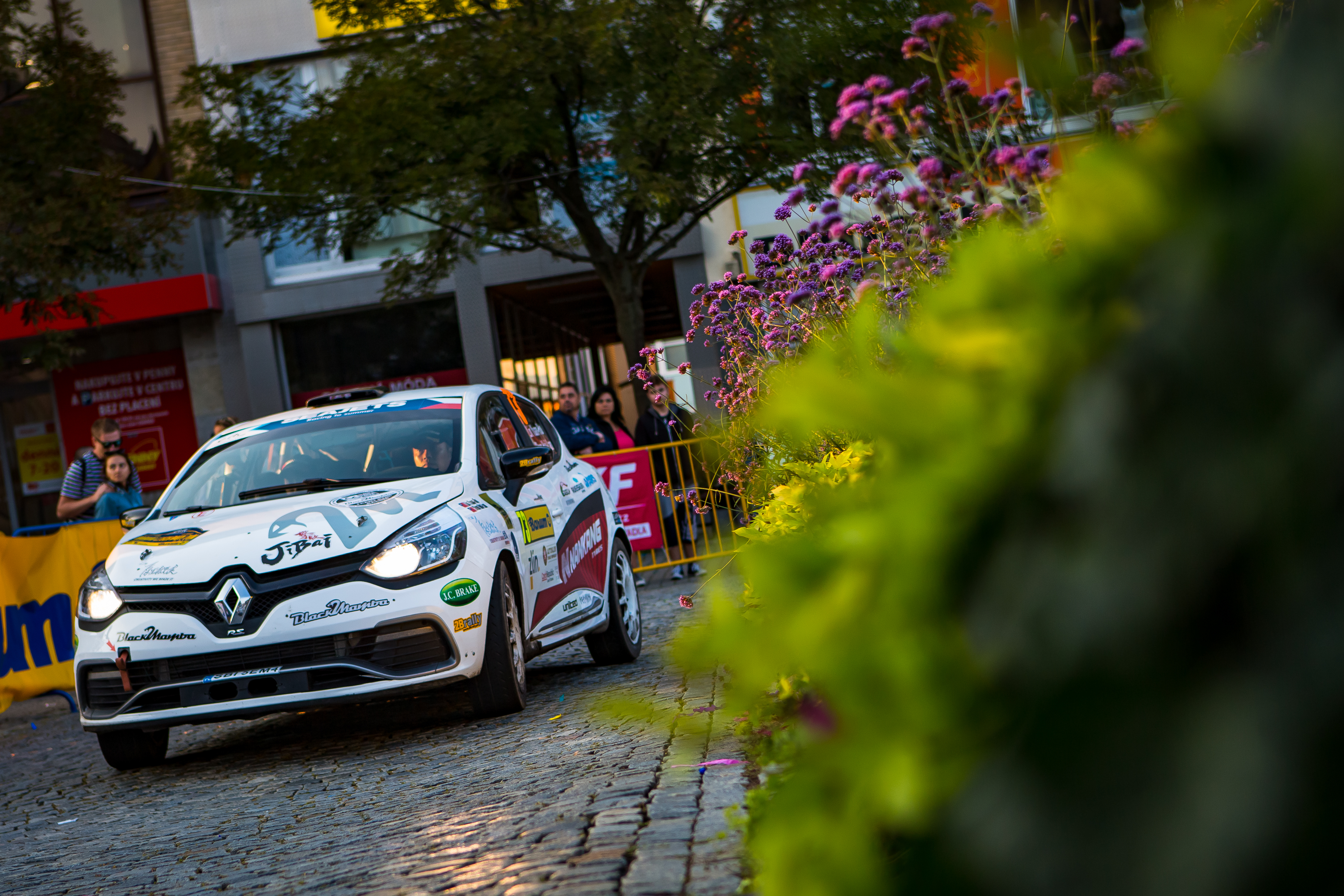 汽車蠟 汽車美容 蠍蠟 瑪斯國際 汽車蠟推薦 打蠟產品 打蠟推薦
