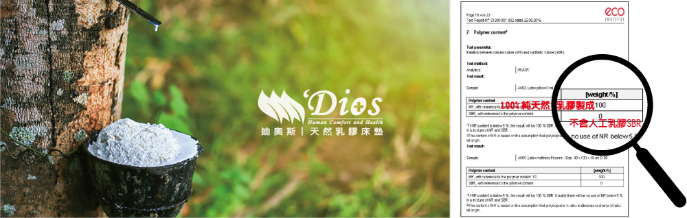 乳膠樹,橡膠樹,天然乳膠,乳膠床墊,人工採集