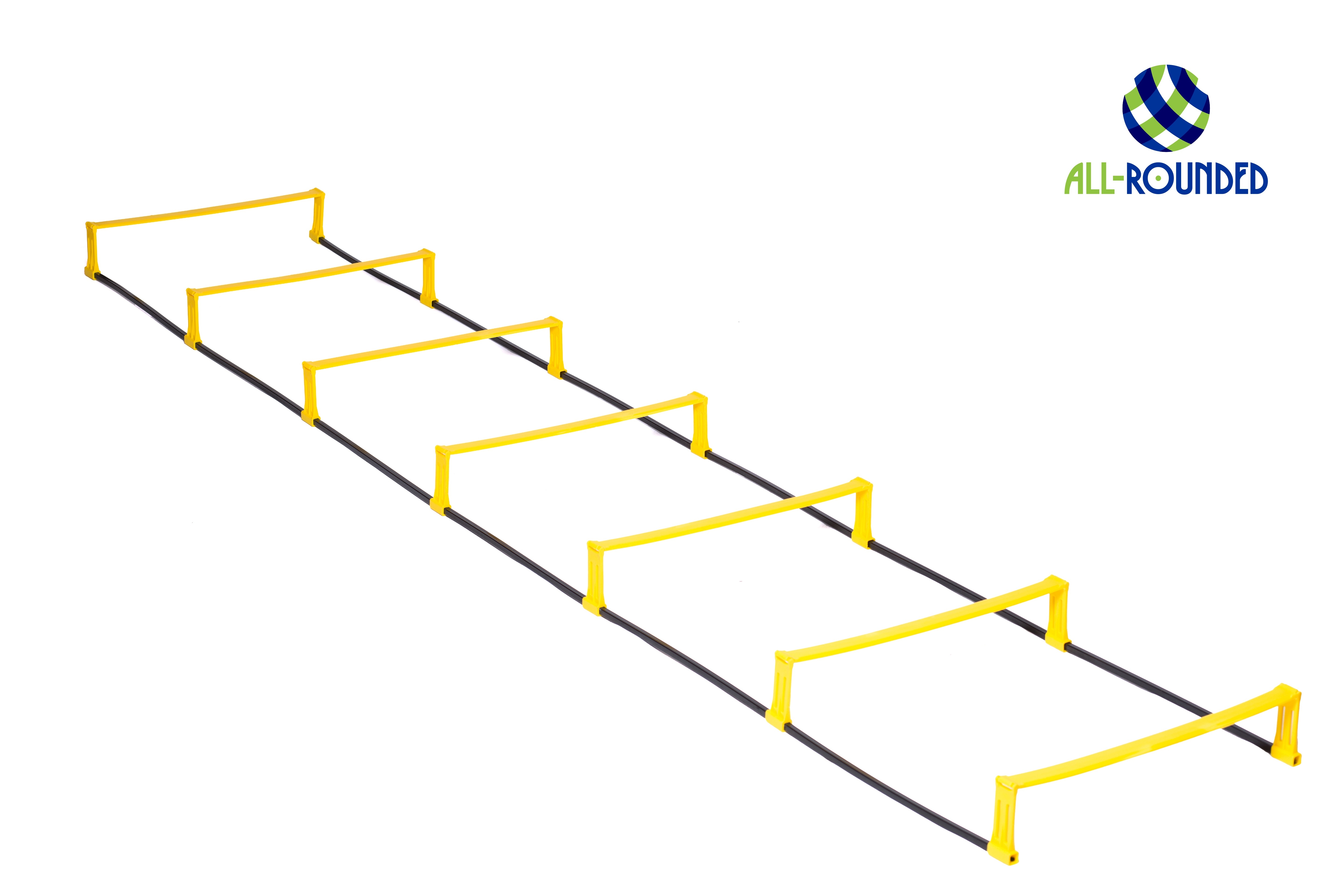 多功能兩用訓練敏捷繩梯