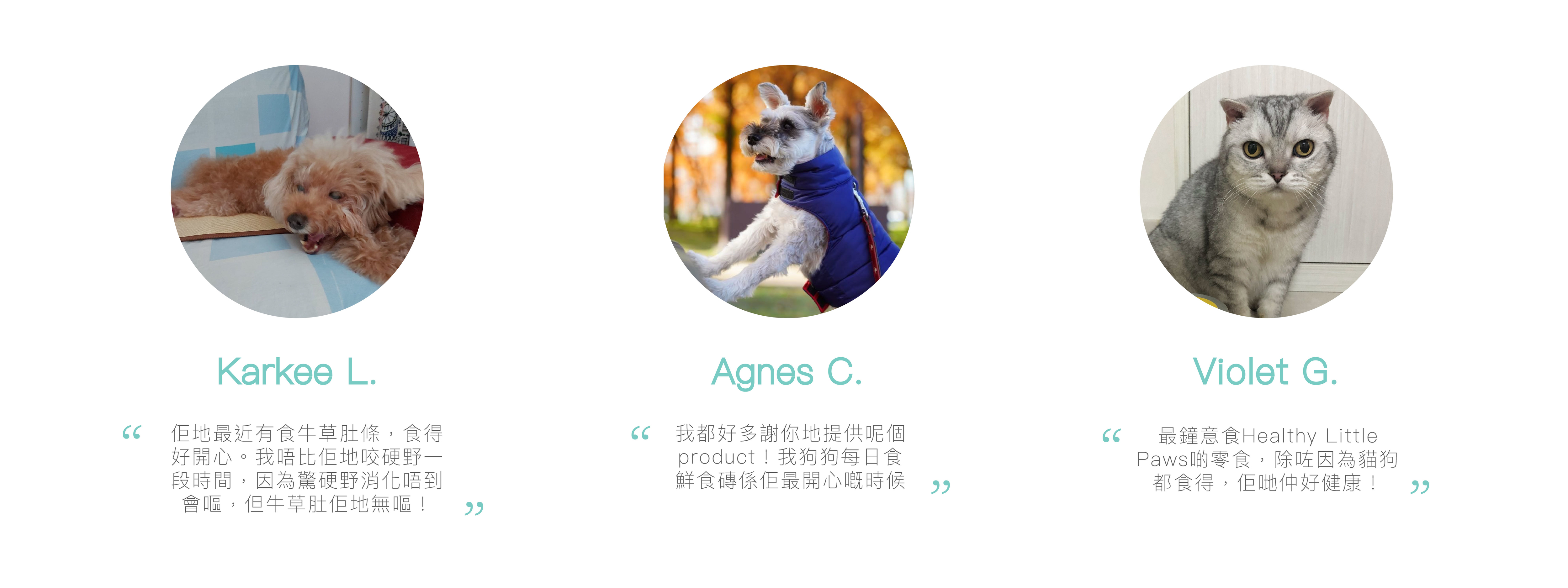 Customer Testimonials,香港寵物鮮食,寵物鮮食,寵物鮮食訂購,Fresh pet food,hong kong fresh pet food,寵物鮮食評價,寵物鮮食好評