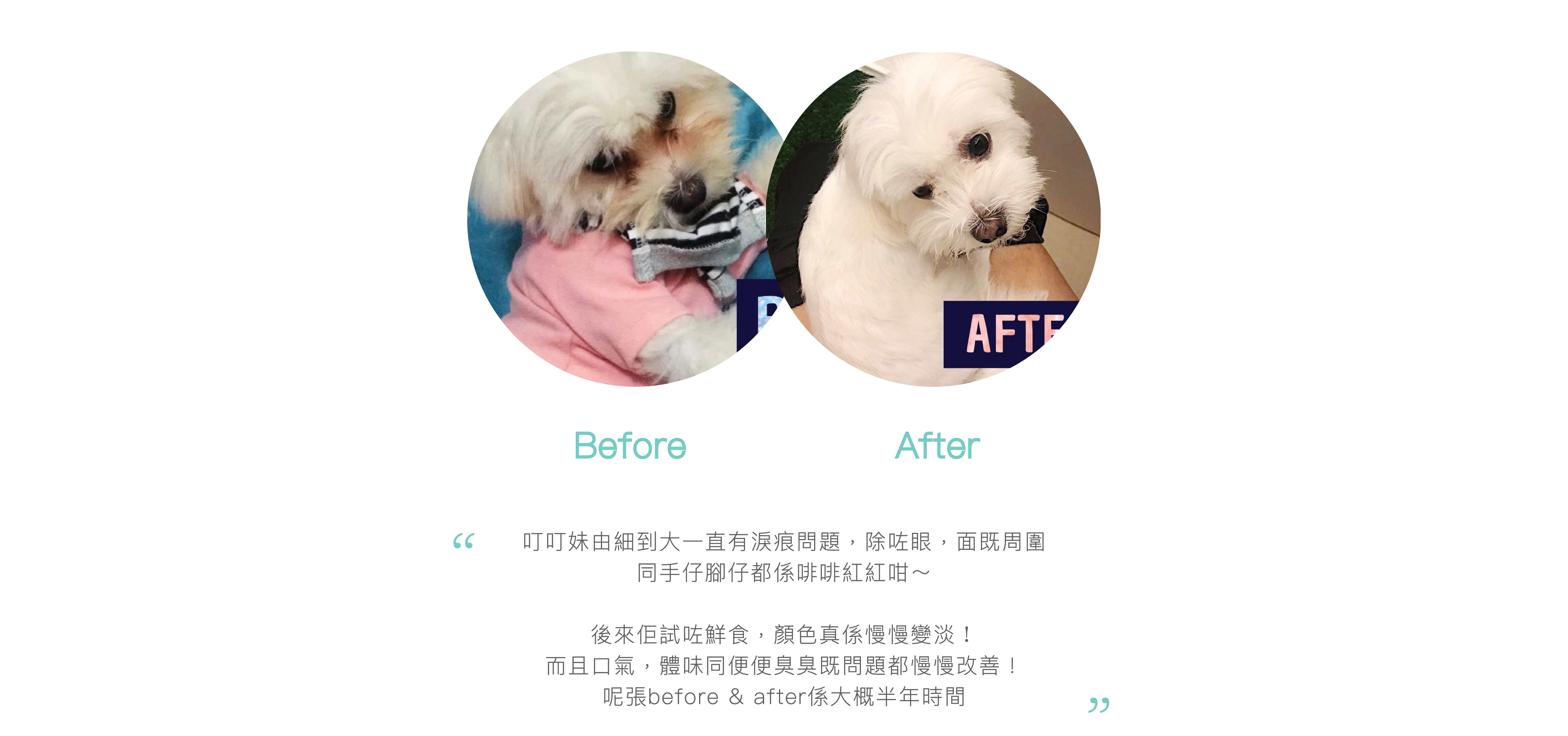 Customer Testimonials,香港寵物鮮食,寵物鮮食,寵物鮮食訂購,Fresh pet food,hong kong fresh pet food,寵物鮮食評價,寵物鮮食好評