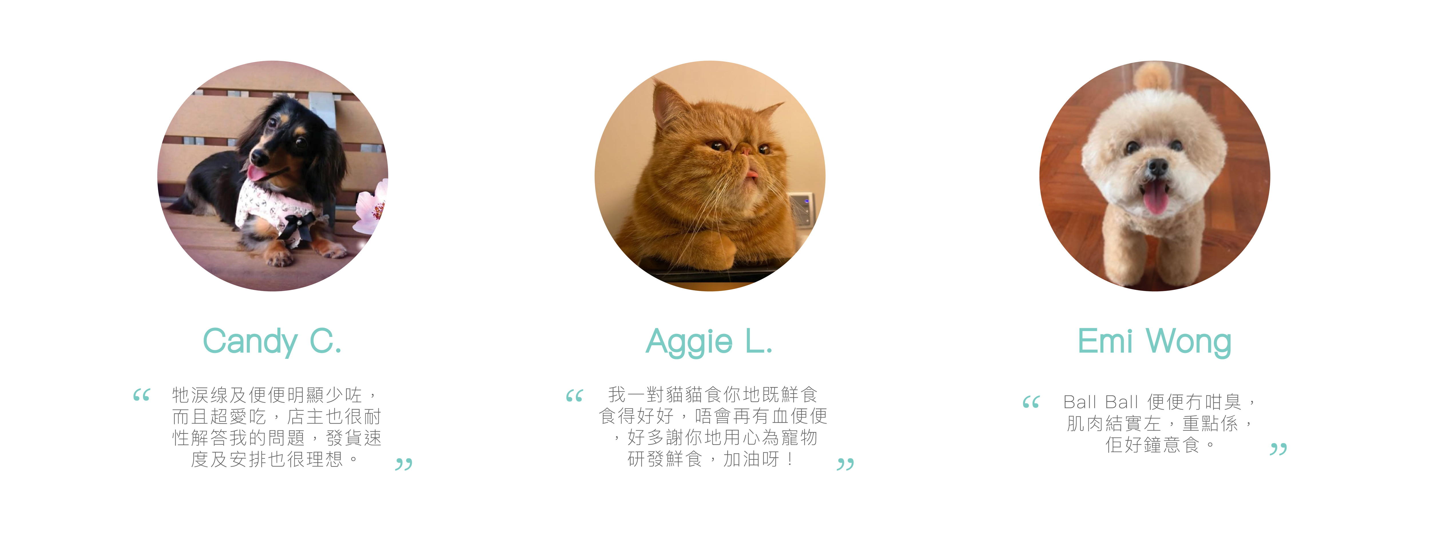 Customer Testimonials,香港寵物鮮食,寵物鮮食,寵物鮮食訂購,Fresh pet food,hong kong fresh pet food,寵物鮮食評價,寵物鮮食好評
