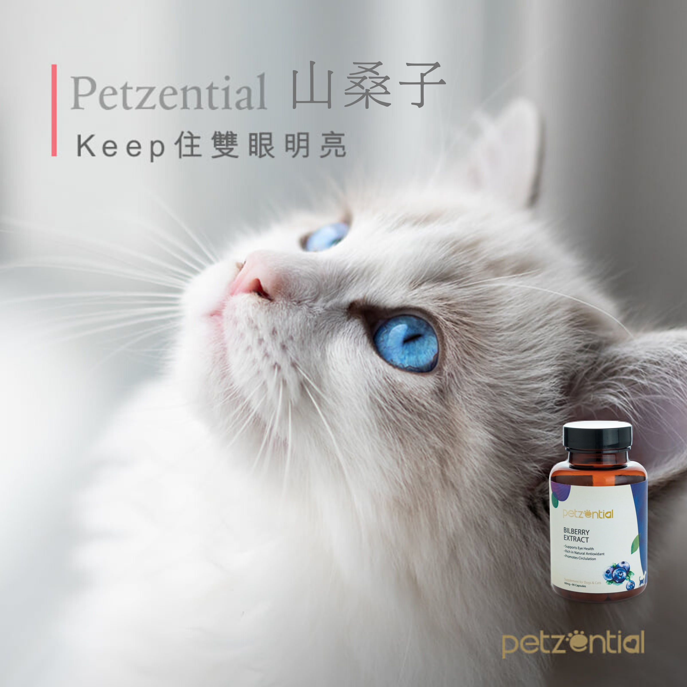 Petzential 山桑子精華素 90粒 (貓狗適用)