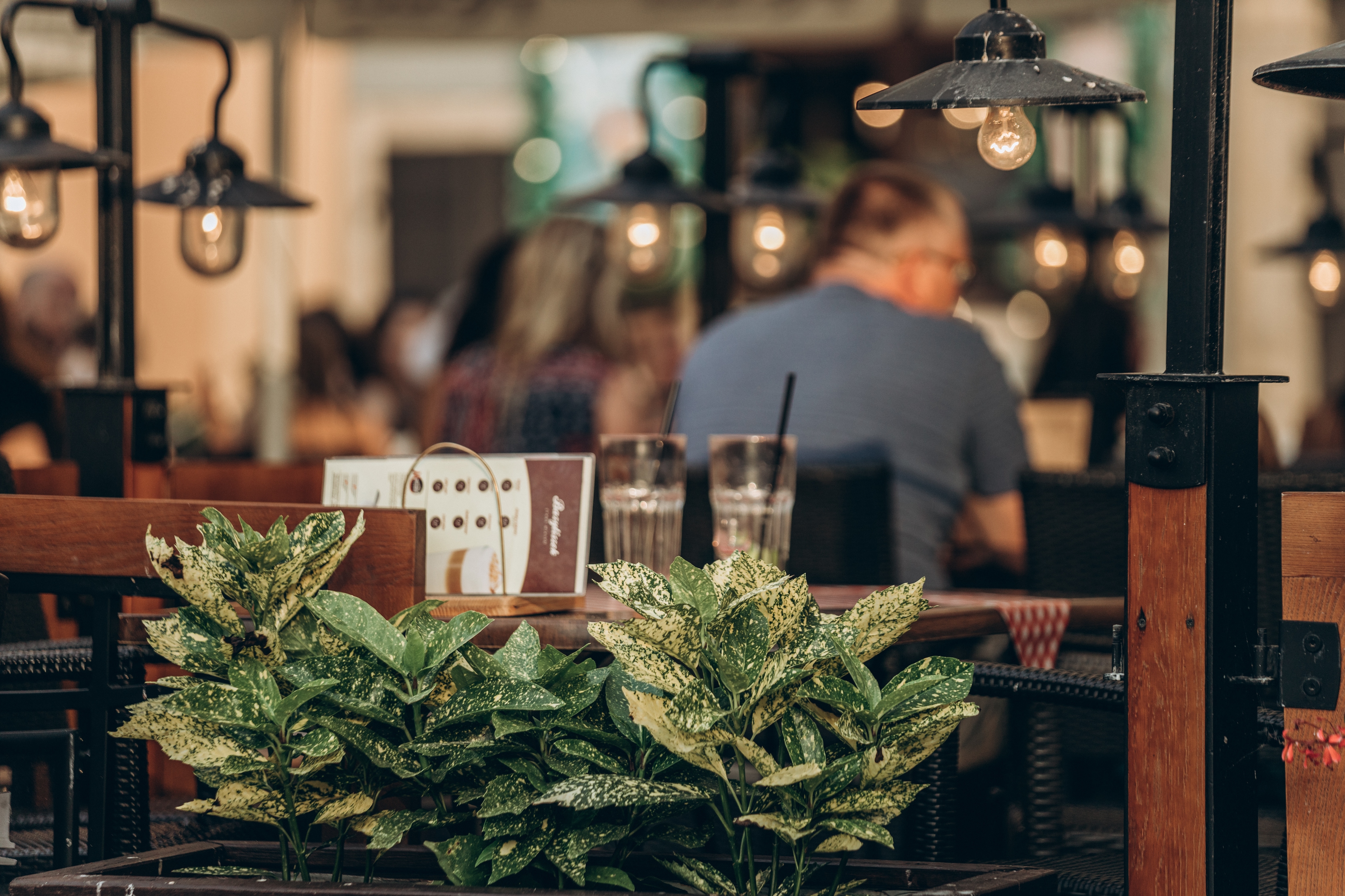 vburg Reward Membership Program