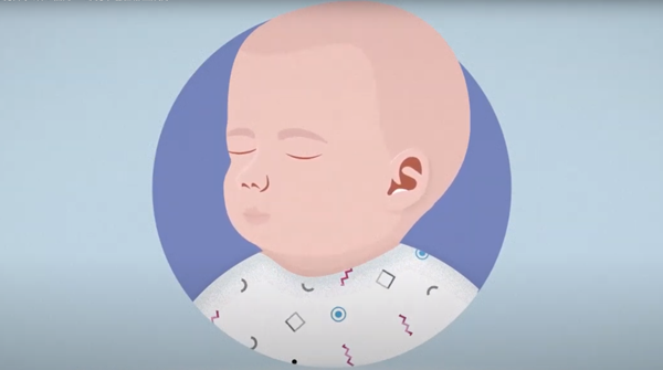 頭 6 個月： 母乳中包含哪些成分