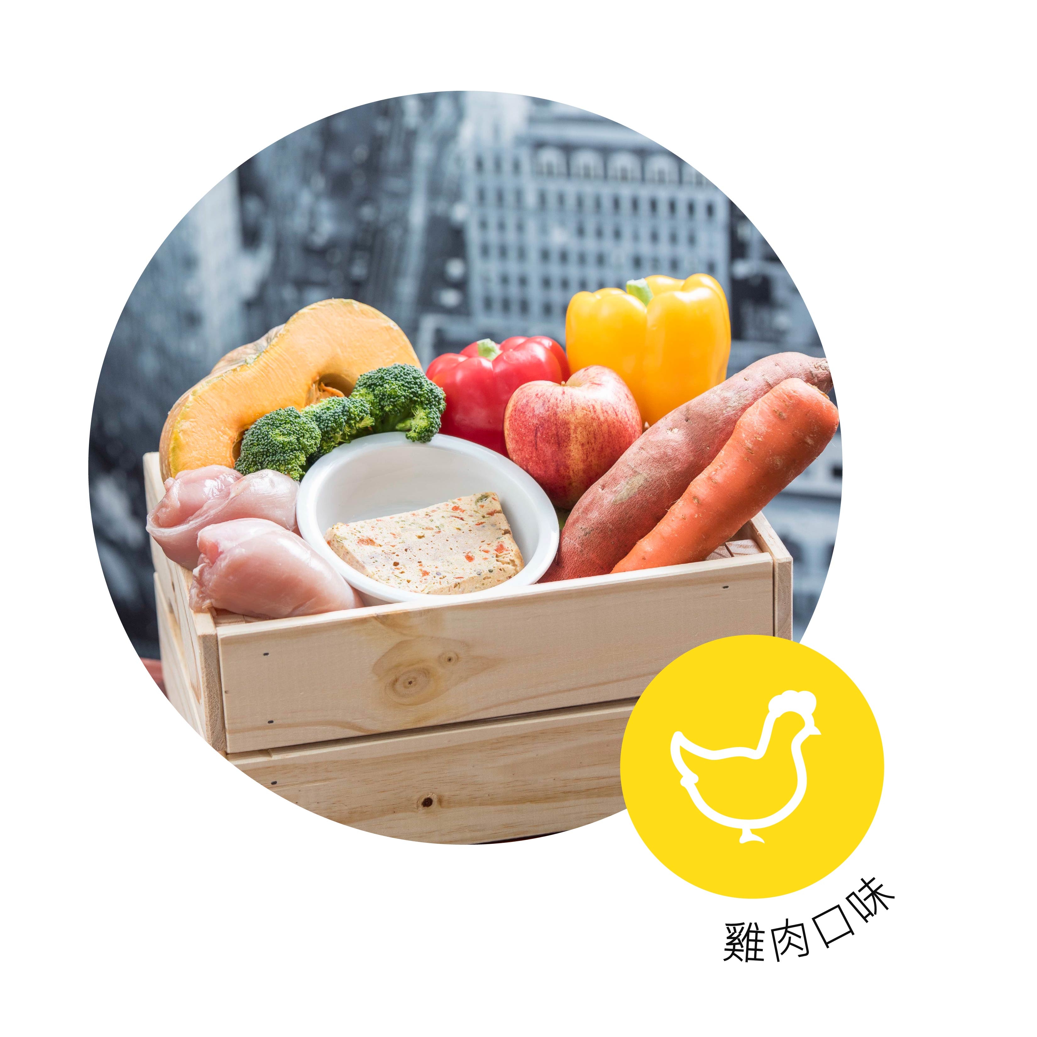 寵物, 寵物鮮食, 鮮食, 鮮食磚, 狗糧, 香港寵物鮮食, 香港健康狗糧, 雞肉鮮食磚