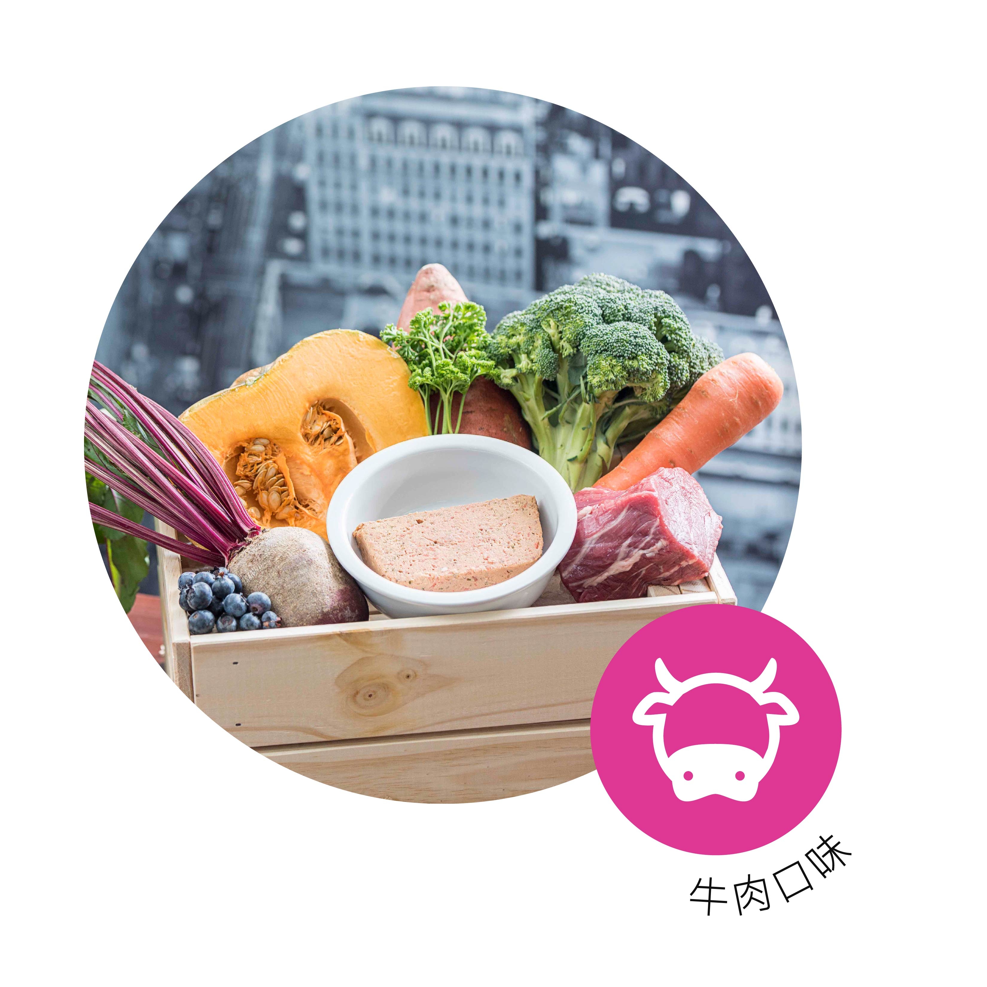 寵物, 寵物鮮食, 鮮食, 鮮食磚, 狗糧, 香港寵物鮮食, 香港健康狗糧, 牛肉鮮食磚