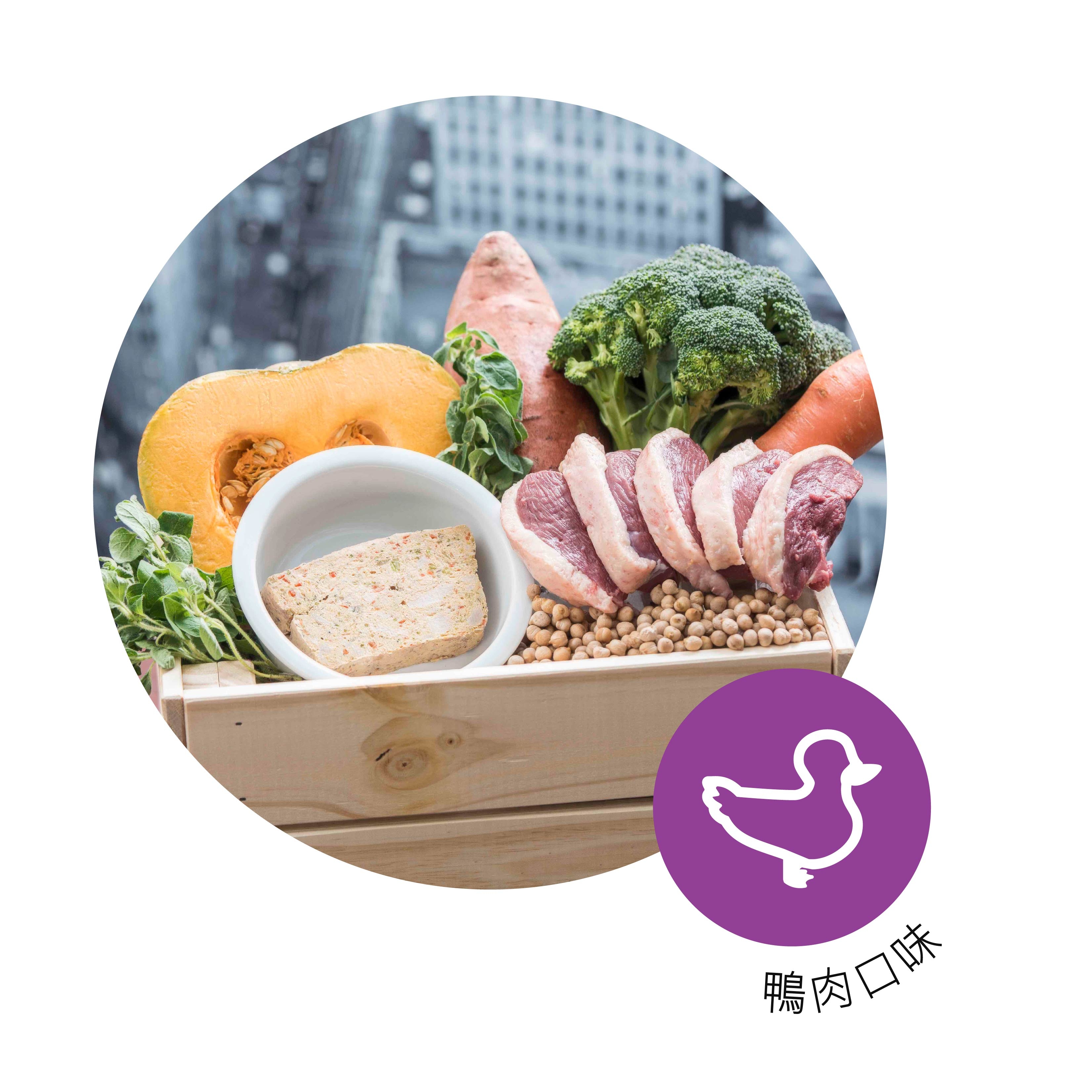 寵物, 寵物鮮食, 鮮食, 鮮食磚, 狗糧, 香港寵物鮮食, 香港健康狗糧, 魚肉鮮食磚