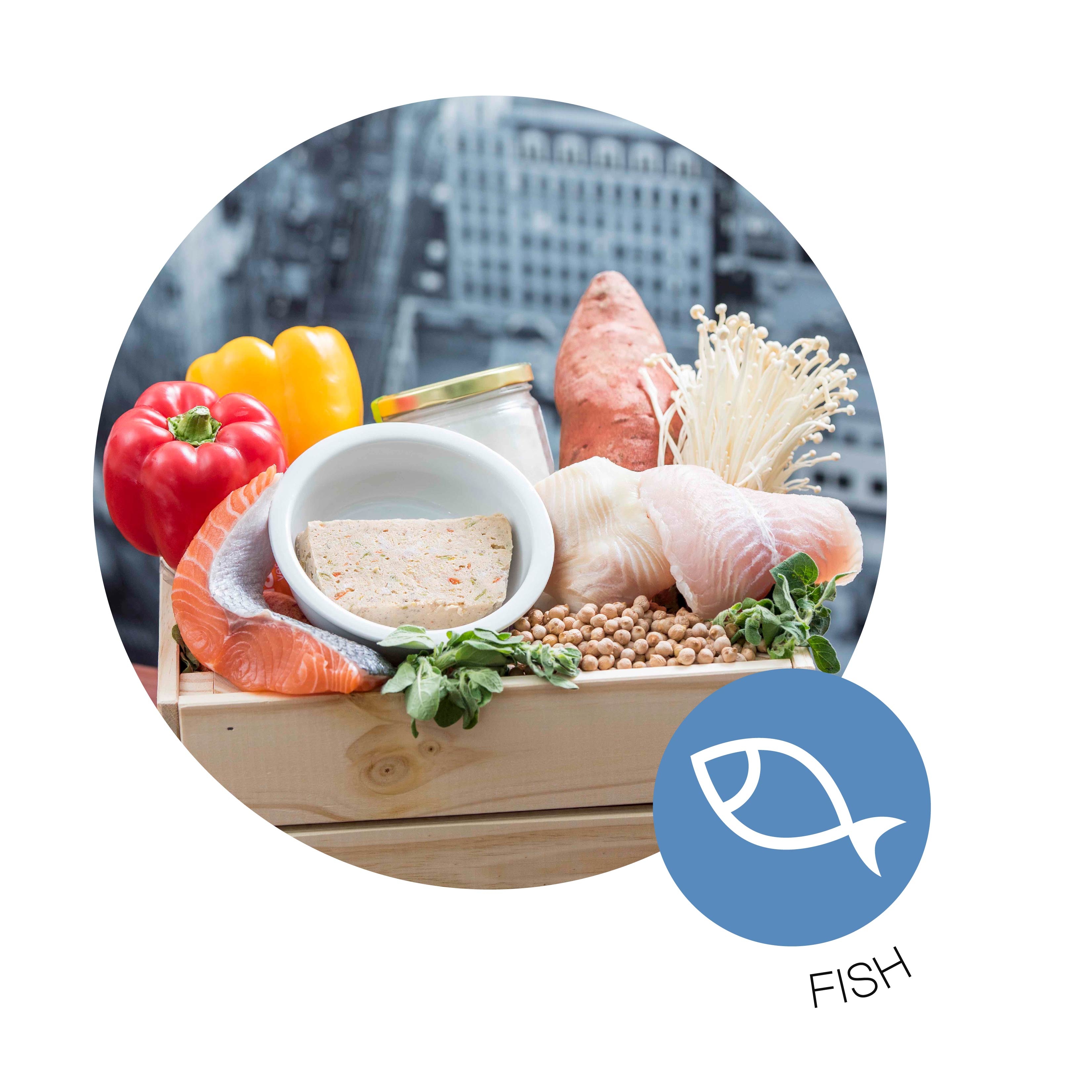 寵物, 寵物鮮食, 鮮食, 鮮食磚, 狗糧, 香港寵物鮮食, 香港健康狗糧, 魚肉鮮食磚, 魚肉, Fish