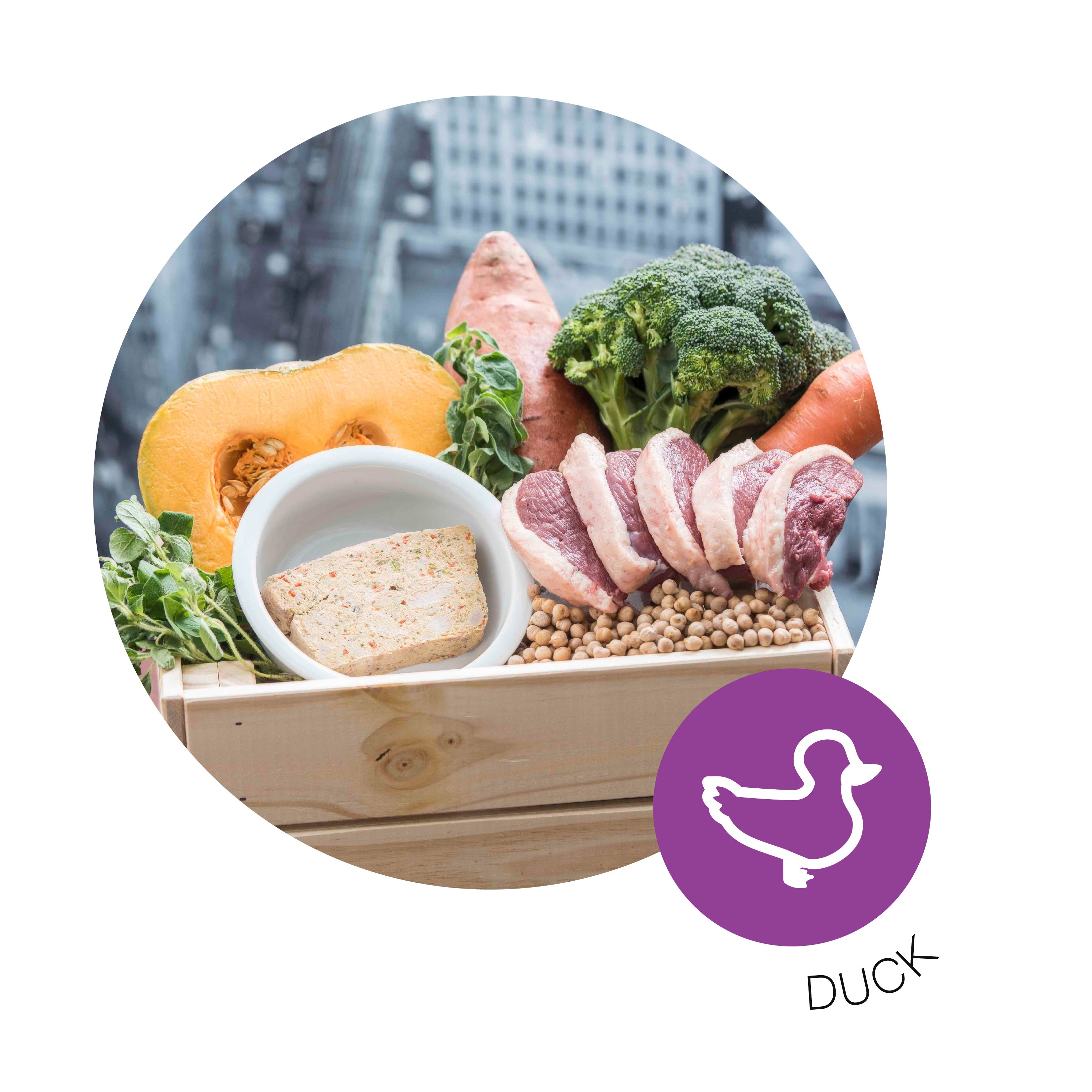 寵物, 寵物鮮食, 鮮食, 鮮食磚, 狗糧, 香港寵物鮮食, 香港健康狗糧, 鴨肉鮮食磚, 鴨肉, Duck