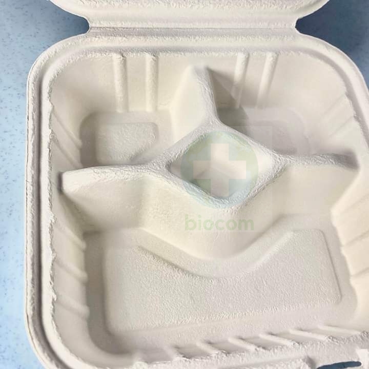 BIOCOM 4 COMPARTMENT BOX
