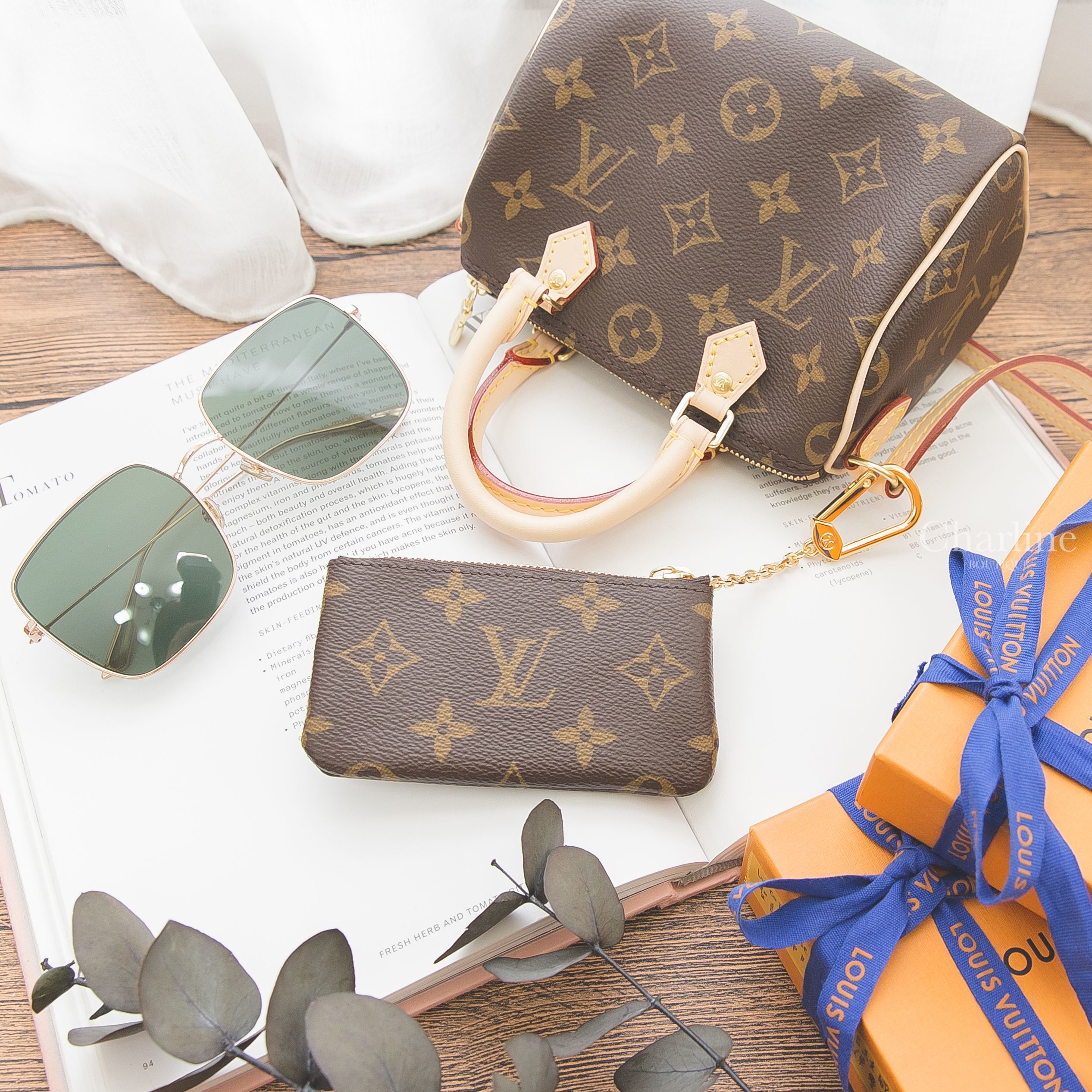 Louis Vuitton Key Pouch 咖啡色老花金釦鑰匙零錢包,Louis Vuitton Nano Speedy 咖啡色手提肩背包,Dior Sunglasses 綠色金邊框方框太陽眼鏡-Charline Boutique 精品代購