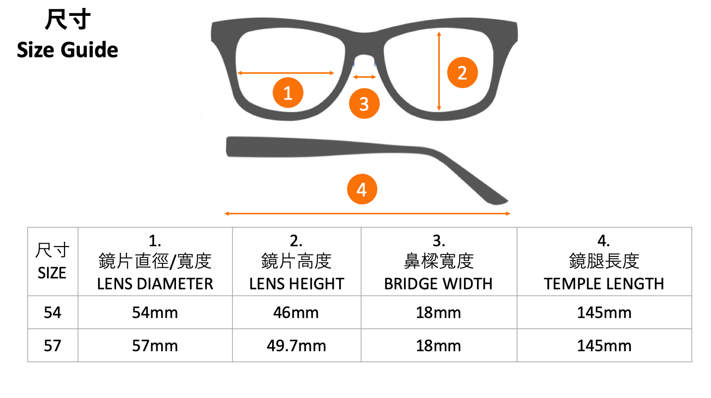 ERIKA BLACK RUBBER RB4171F 622/8G太陽眼鏡