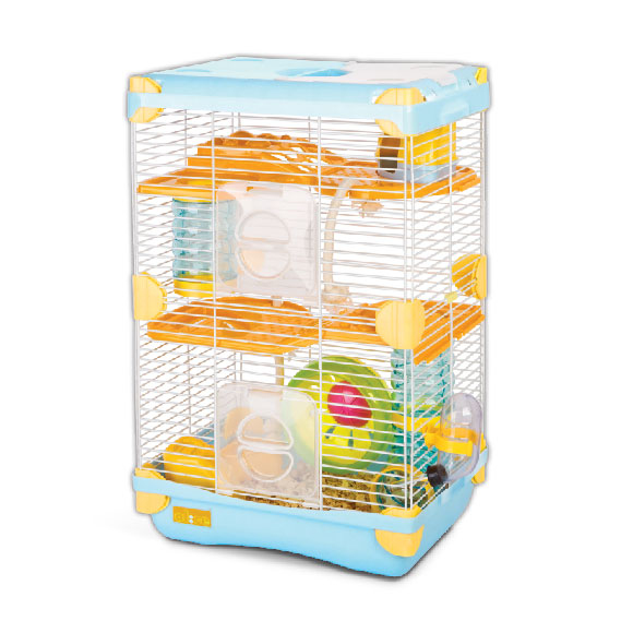 Alice 歷奇樂園 小號雙層 - 藍色