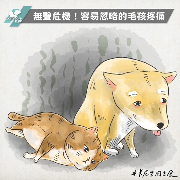 狗疼痛量表,貓疼痛量表