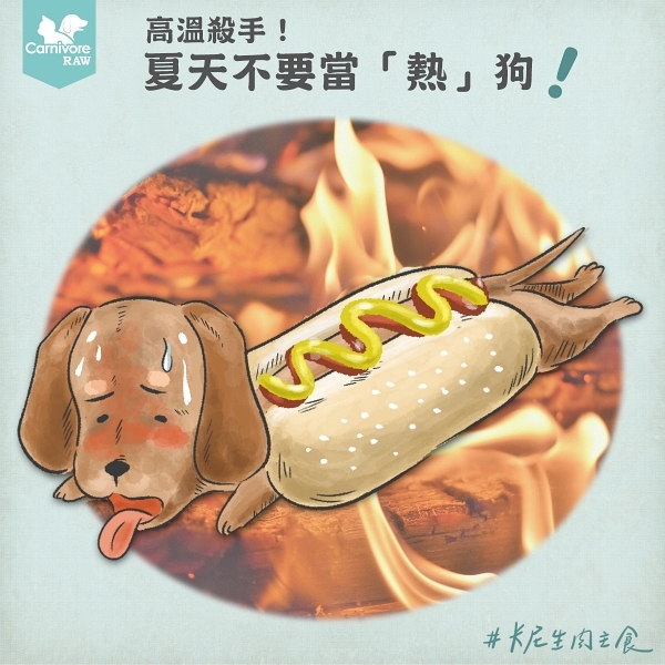 狗中暑,狗熱衰竭,狗腳掌燙傷,夏天遛狗