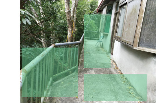 可⾃訂動態偵測區域 降低不必要的⼲擾