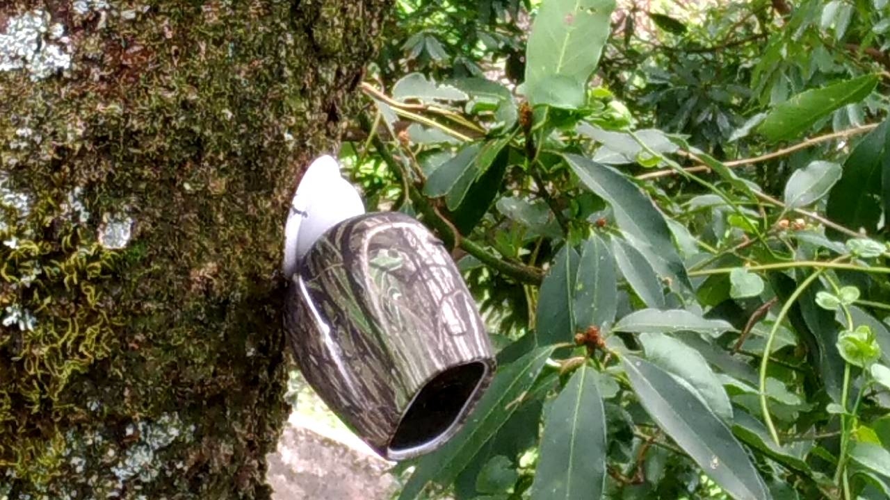 搭配Arlo鏡頭迷彩保護套(VMA4200)使用，能更融入環境，不易發現