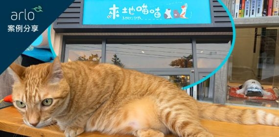 [Arlo案例分享]來地喵喵 貓咪照護的人文空間