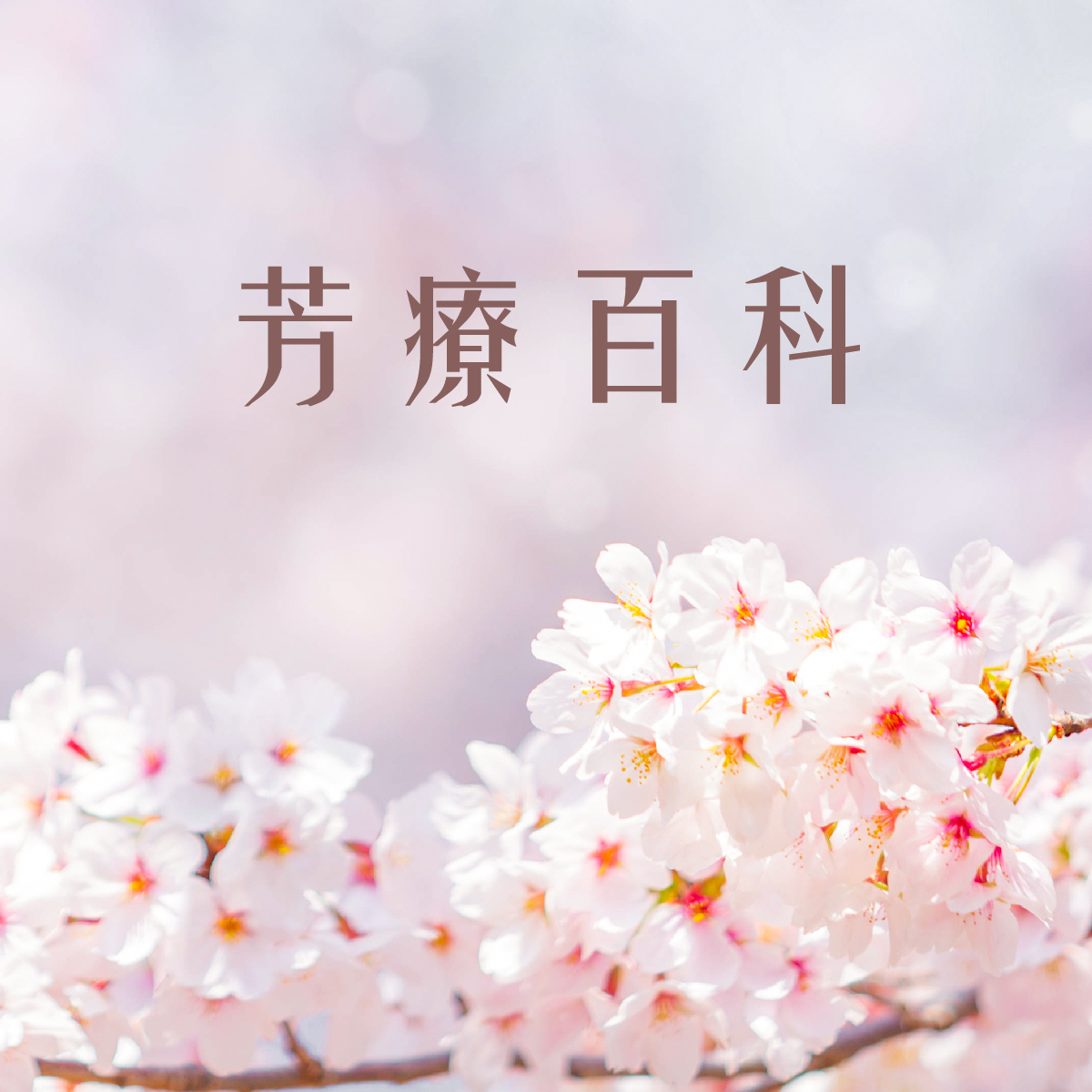 精油,精油生活,芳療,生活,健康