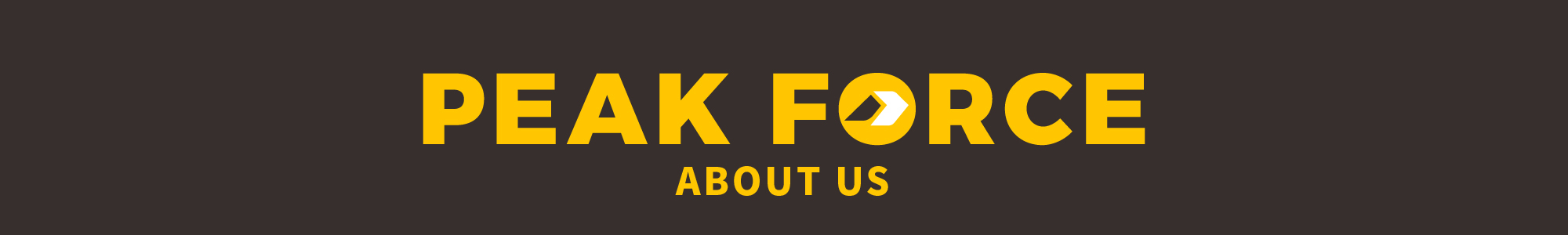 關於PEAK FORCE BANNER