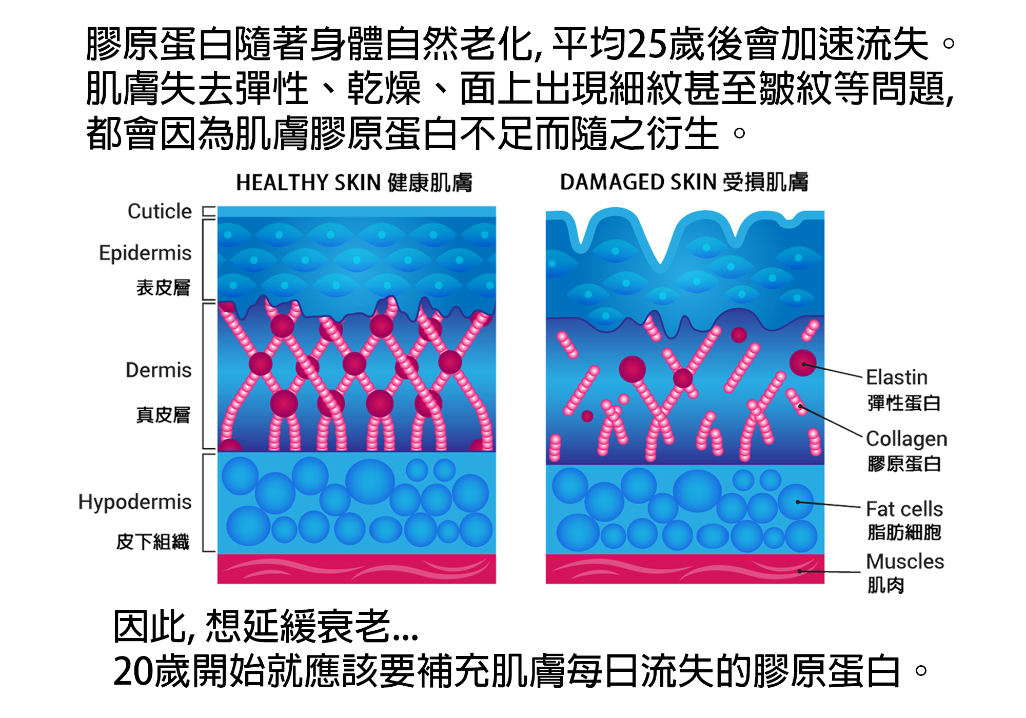 welleaf lifestyle SC+ plus