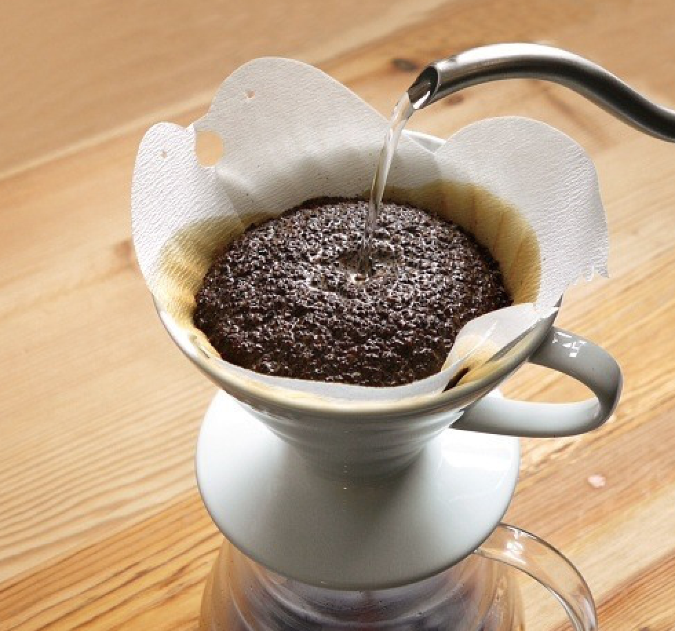 暖窩咖啡 SCA CSP 精品咖啡實作全能零基礎  國際咖啡證照