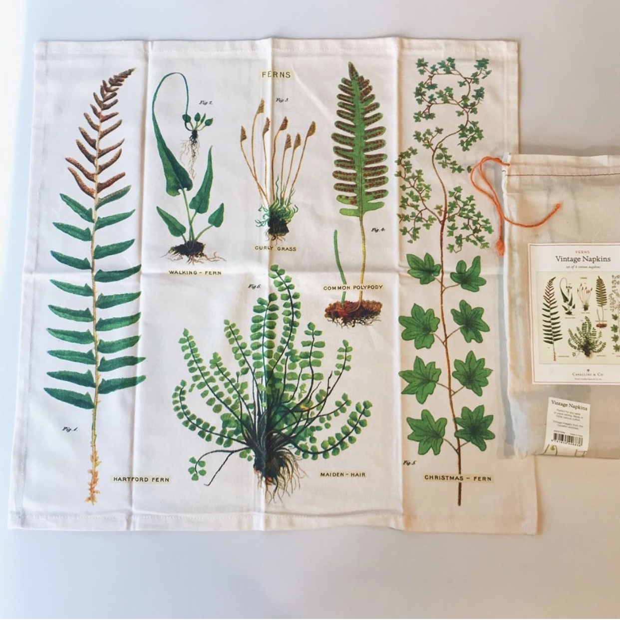 cavallini 餐用方巾 純棉茶巾 蕨類植物