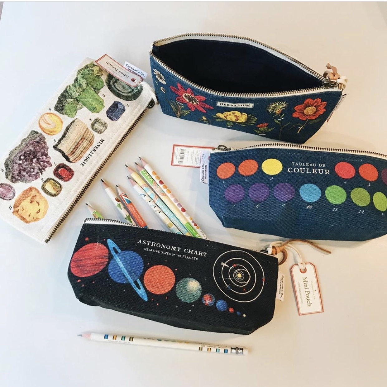 Cavallini 筆袋 收納袋 礦石款