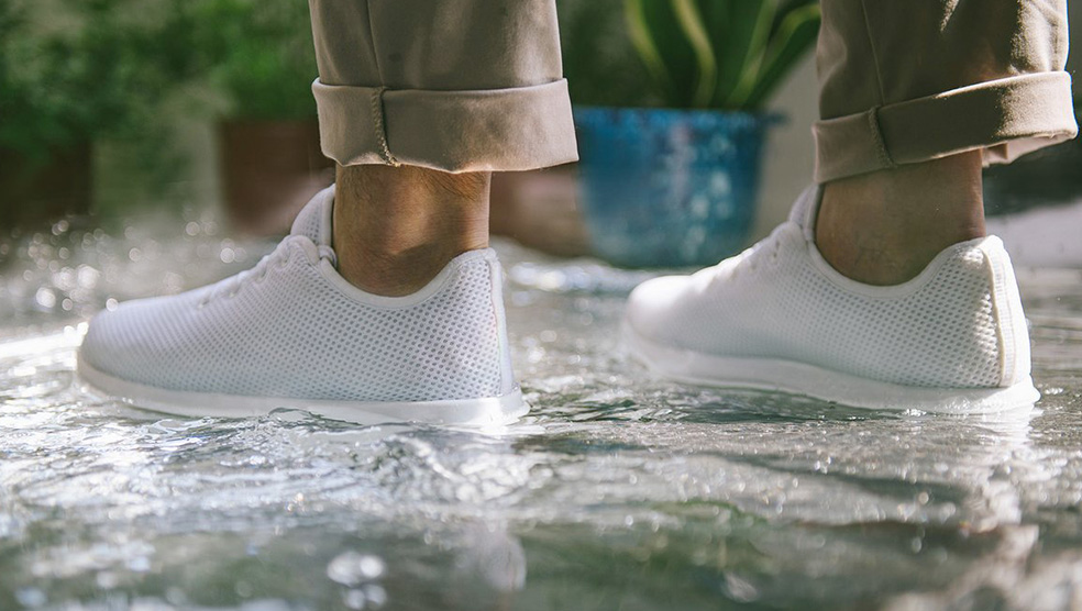 舊鞋可回收再製成盆栽?! 蛙特鞋