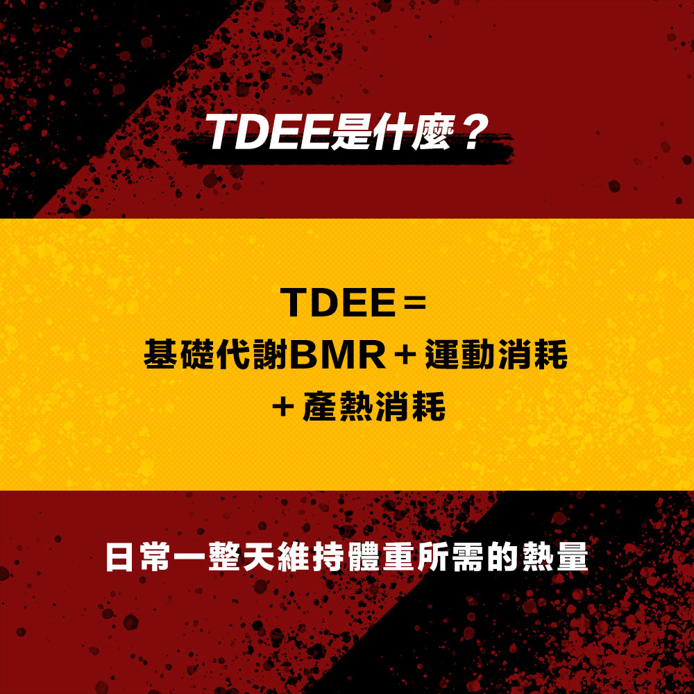 飲食指南最終回：食物選擇與份量估算