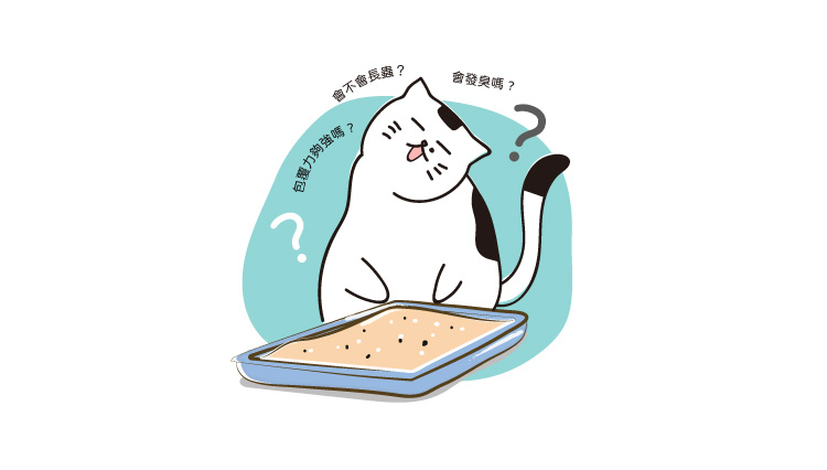 許多人都有疑問：豆腐砂真的好嗎？