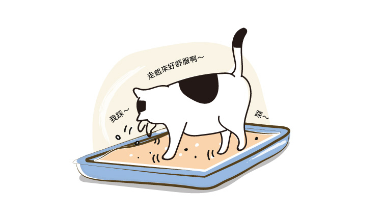 仿礦砂顆粒，享受天然腳感，可減少換砂適應期