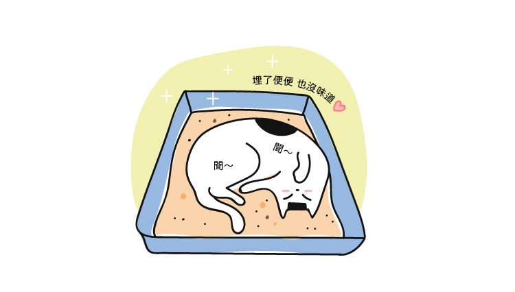 以活性碳顆粒取代香精，除臭力增加