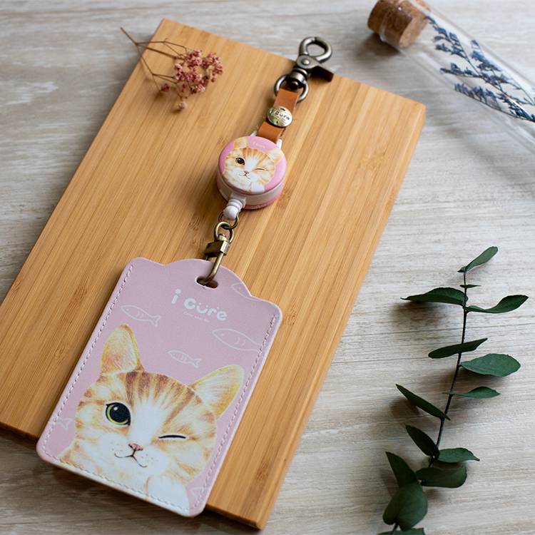 i好鉤 伸縮萬用卡套組 / 米克斯_H17