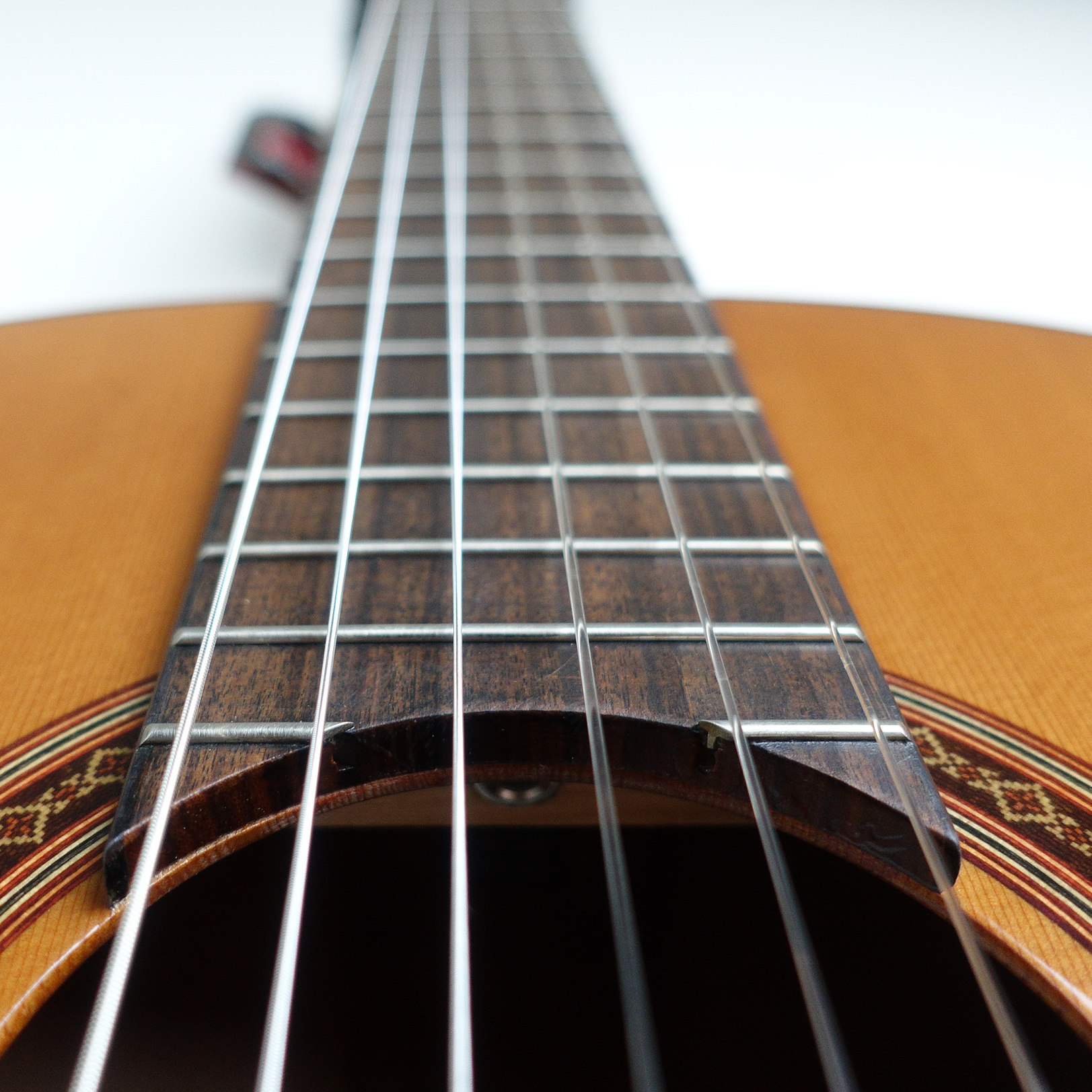 Cordoba Cordoba C5 紅杉木面單板 古典吉他 【附琴袋】 第 3 張圖片｜三峽吉他 / Bass